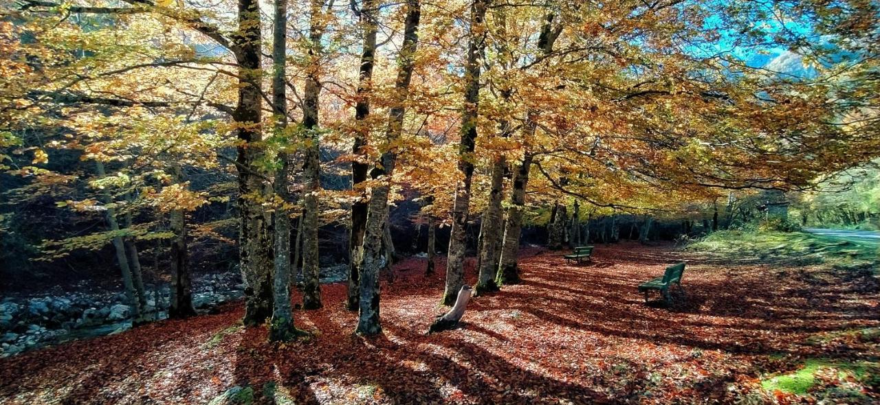 Le Masserie Case Vacanza Виллетта-Барреа Экстерьер фото